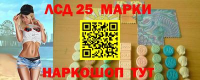 шишки Новозыбков