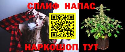 apvp Нарткала