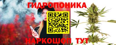 apvp Нарткала