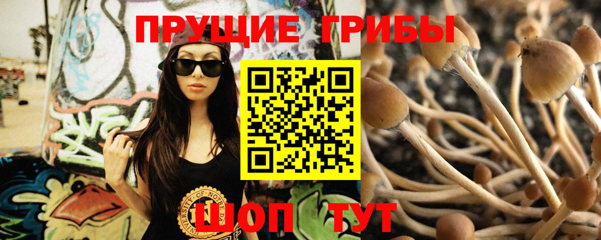 Галлюциногенные грибы Cubensis  Вход с VPN  как найти   Фролово 